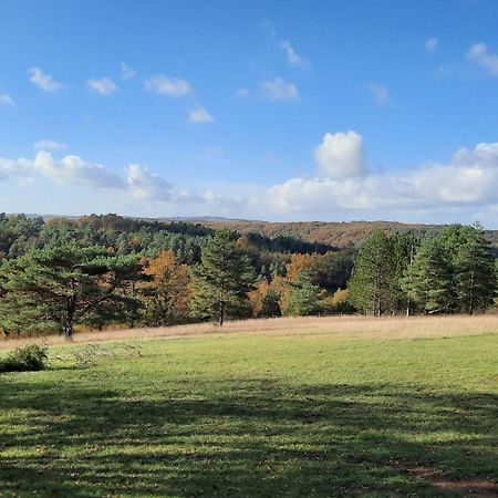 Gite Les Placettes Sainte-Foy-de-Longas Kültér fotó